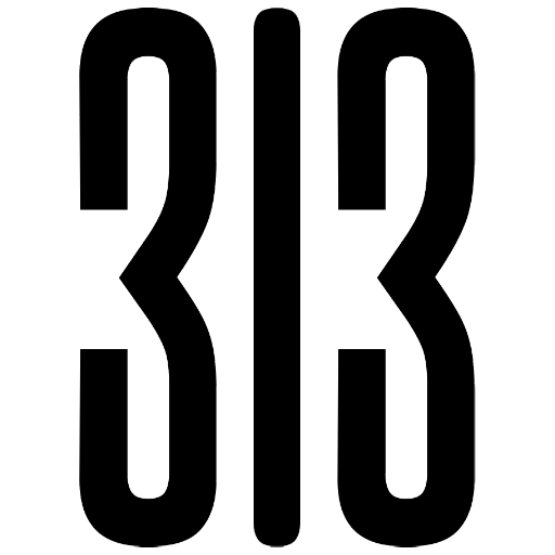 313 Music Publishing